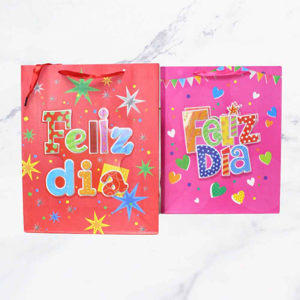 BOLSA REGALO FELIZ DIA M X12