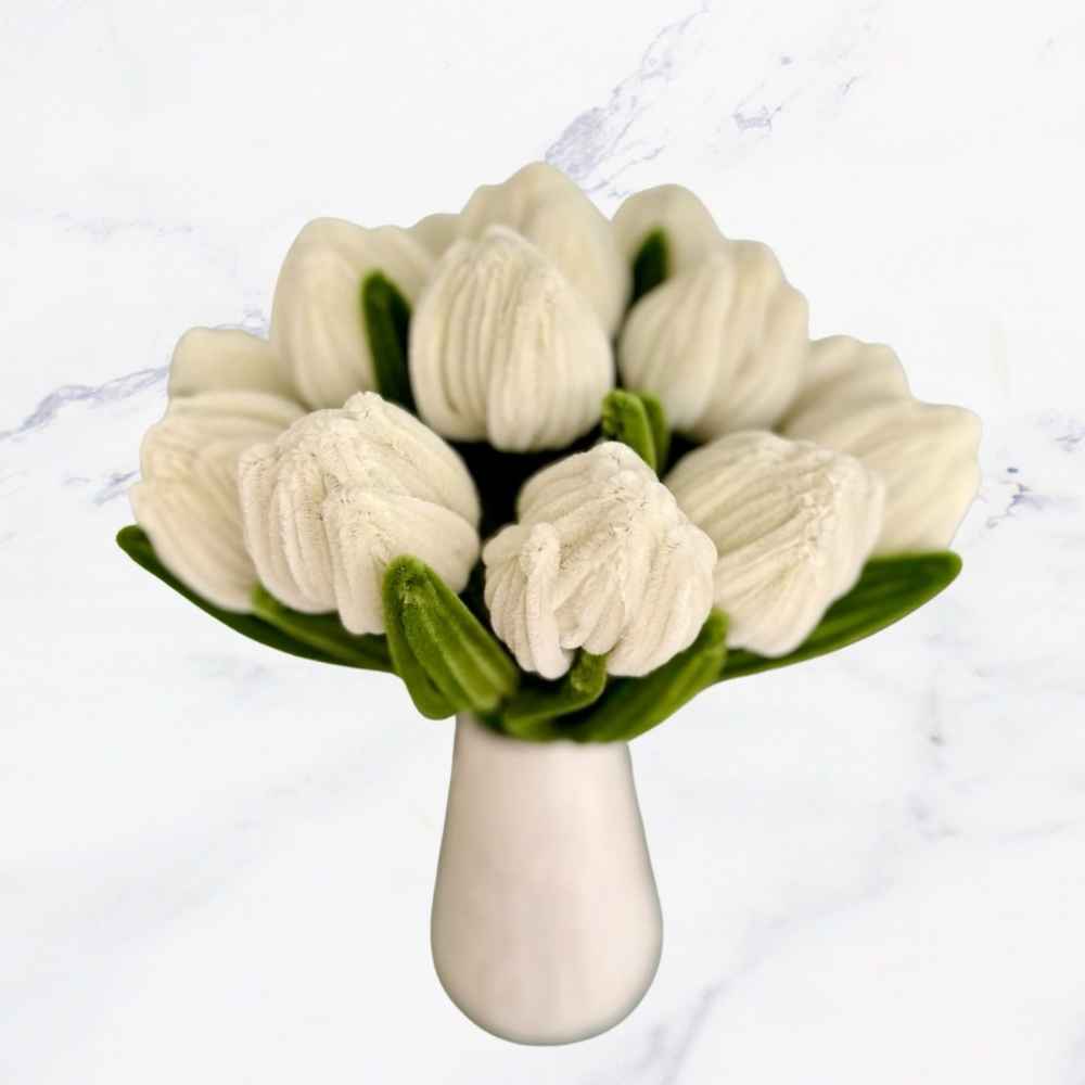 LIMPIAPIPAS BLANCO OSTRA 100X1