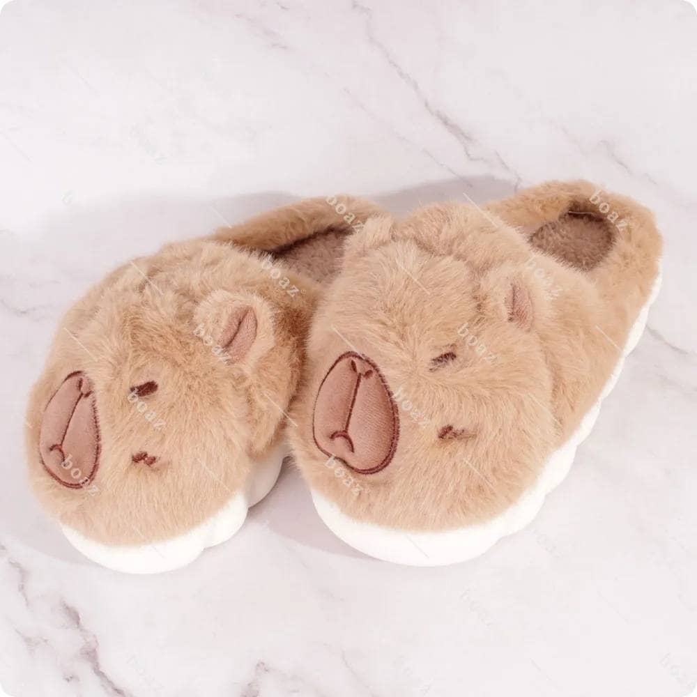 Pantufla capy