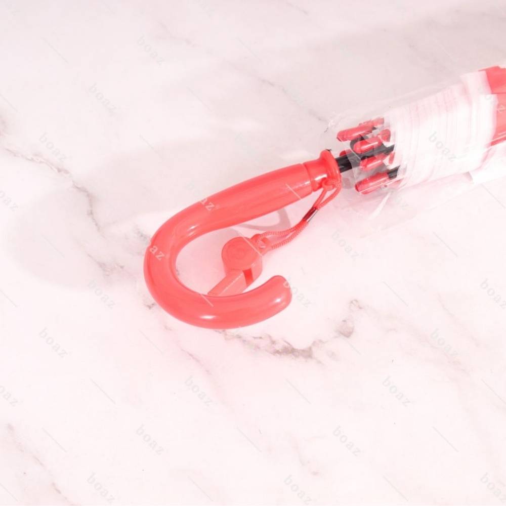 Paragua kid astro x1