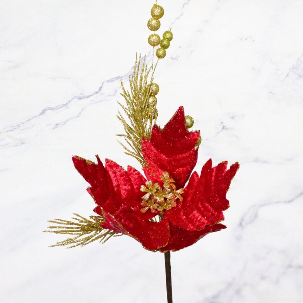 FRUTOS PASCUA ROJA X6