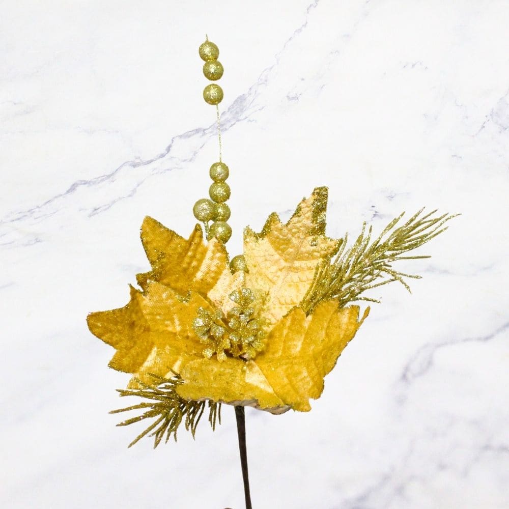 FRUTOS PASCUA DOR X6
