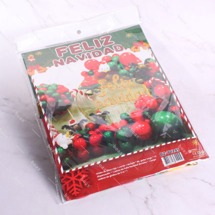 SET GLOBO NAVIDAD 2 (unidad)