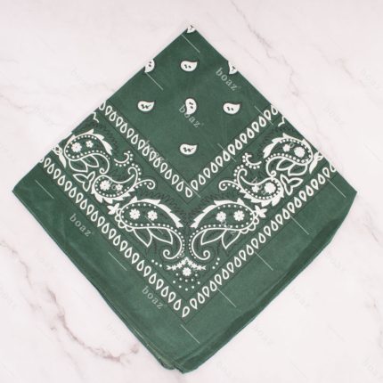 PAÑOLETAS VERDEPET X12