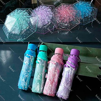 PARAGUA CEREZO (unidad)