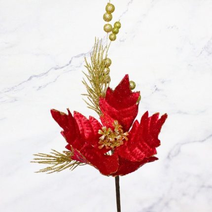 FRUTOS PASCUA ROJA X6