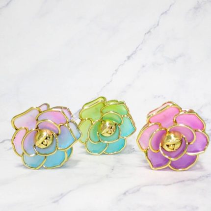 TIBURON CEREZO TORNASOL X12