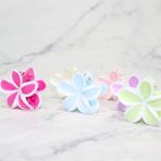 TIBURON S HAWAII PASTEL X12