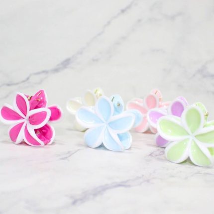 TIBURON S HAWAII PASTEL X12