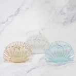 TIBURON CONCHA  TORNASOL X12 - Imagen 3