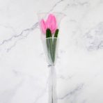 TULIPAN FUCSIA X1 - Imagen 3