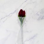 TULIPAN BURDEO X1 - Imagen 3