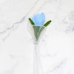 TULIPAN CELESTE X1 - Imagen 2